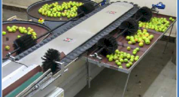 Сортування фруктів та овочів за вагою: високошвидкісна машина FACHIAUX з рішенням Scaime